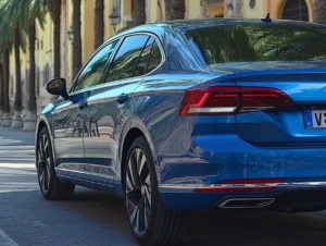 Blaues Auto mit deutschen Kennzeichen parkt auf einer palmengesäumten Straße bei Sonnenschein