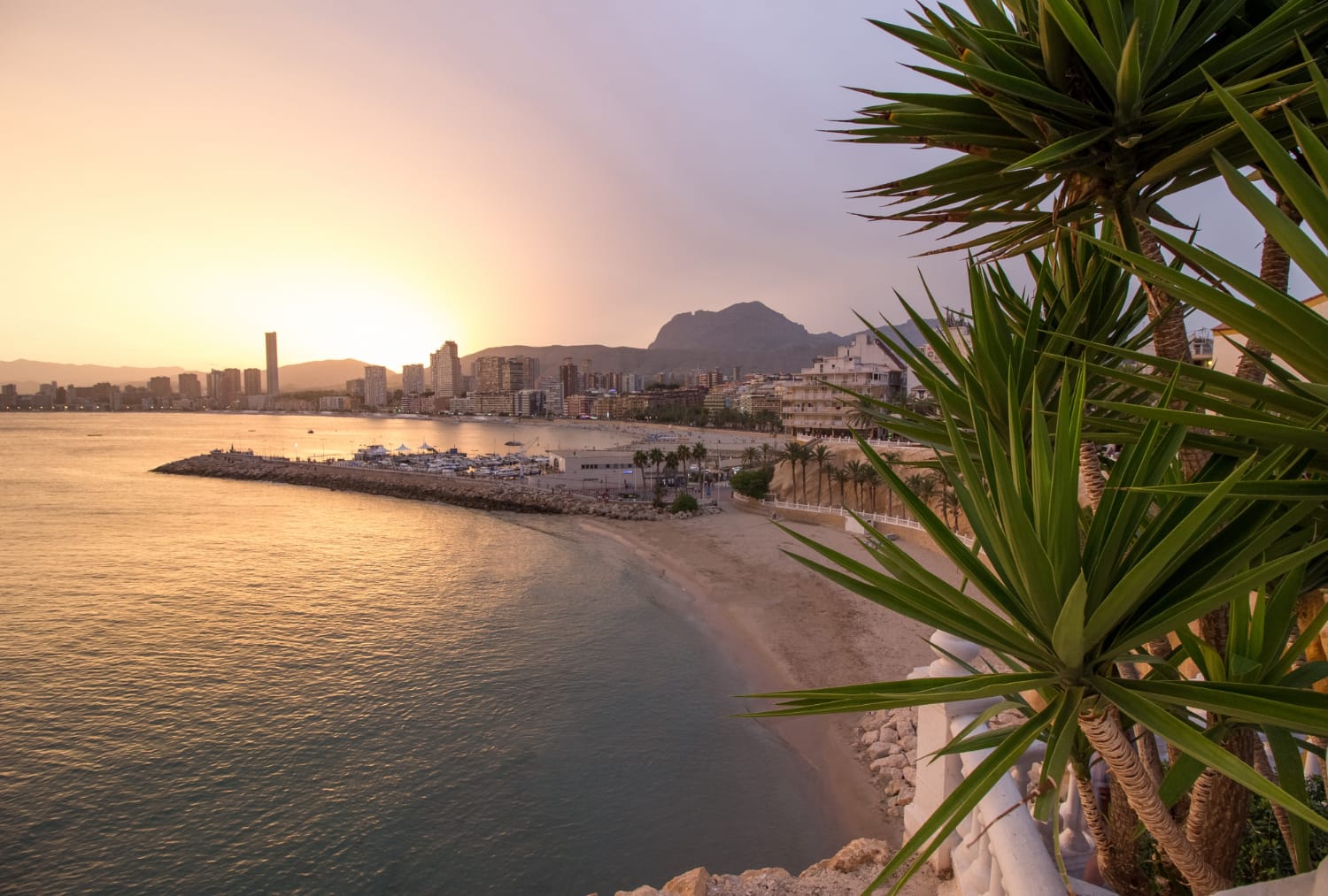Sonnenuntergang über einer Küstenstadt mit Strand, Marina, Hochhäusern und Palmen im Vordergrund